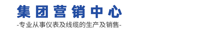 安徽天康(集团)股份有限公司